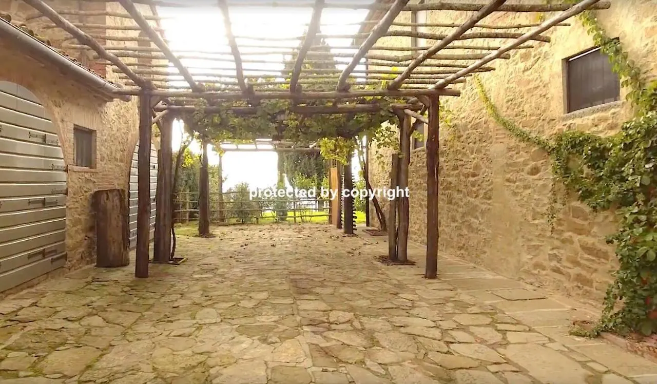 Luxury Villa Among Vineyards Arezzo